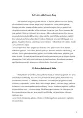 Laivų remontas, dokai, laivų techninė priežiūra 9 puslapis