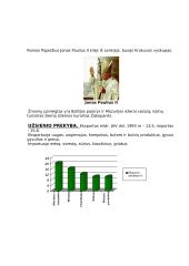 Lenkijos aprašymas 11 puslapis