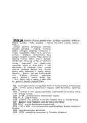 Lenkijos aprašymas 3 puslapis