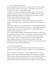 Lenkų vaidmuo Lietuvos politiniame ir kultūriniame gyvenime 2 puslapis