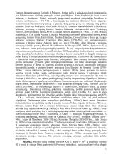 Portugalijos Respublika 11 puslapis