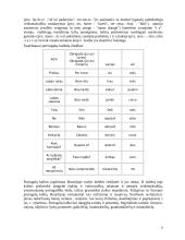 Portugalijos Respublika 8 puslapis