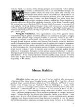 Portugalijos Respublika 10 puslapis