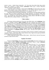 Viskas apie Prancūzijos Respubliką 4 puslapis