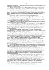 Trakai – senoji Lietuvos sostinė 2 puslapis