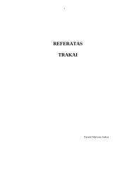 Trakai – senoji Lietuvos sostinė 7 puslapis