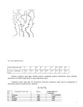 Upių ir kitų vandens telkinių hidrografijos ir hidrologijos samprata 6 puslapis