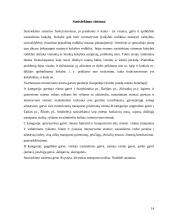 Pietinės Klaipėdos gyventojų gyvenimo kokybės tyrimas 14 puslapis
