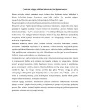 Pietinės Klaipėdos gyventojų gyvenimo kokybės tyrimas 6 puslapis