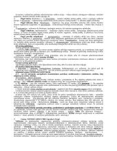 Bendroji teisė 2 puslapis