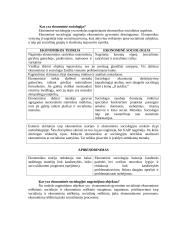 Ekonominė sociologija