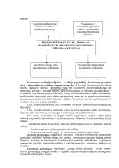 Ekonominė sociologija 2 puslapis