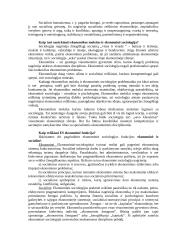 Ekonominė sociologija 3 puslapis