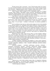 Ekonominė sociologija 7 puslapis