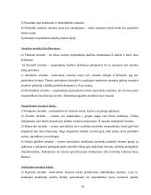 Marketingas ir rinka 16 puslapis