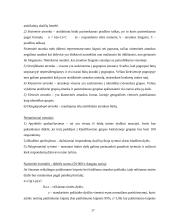 Marketingas ir rinka 17 puslapis