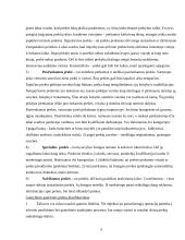 Marketingas ir rinka 4 puslapis