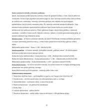 Marketingas ir rinka 10 puslapis