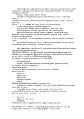 Geras pasiruošimas rinkodaros egzaminui 11 puslapis