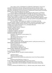 Geras pasiruošimas rinkodaros egzaminui 4 puslapis
