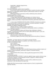 Geras pasiruošimas rinkodaros egzaminui 8 puslapis