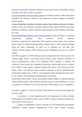 Smulkaus ir vidutinio verslo lengvatos 3 puslapis