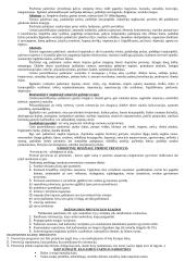 Sveikata ir sveikatos ugdymas 20 puslapis