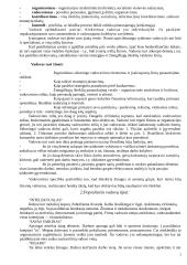 Vadovas ir lyderiavimas 2 puslapis