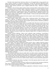 Vadovas ir lyderiavimas 11 puslapis