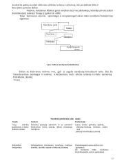 Vadovas ir lyderiavimas 12 puslapis