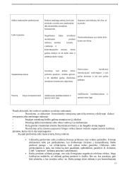 Vadovas ir lyderiavimas 13 puslapis