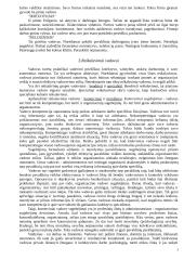 Vadovas ir lyderiavimas 3 puslapis