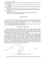 Vadovas ir lyderiavimas 4 puslapis