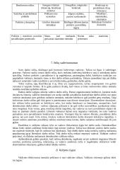 Vadovas ir lyderiavimas 7 puslapis