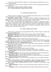 Vadovas ir lyderiavimas 8 puslapis