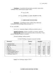 Gamtinio akmens fizikinių savybių tyrimas 3 puslapis