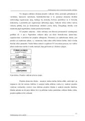 Nekilnojamo turto investicinių projektų valdymas 10 puslapis