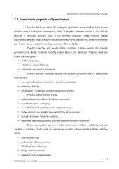 Nekilnojamo turto investicinių projektų valdymas 11 puslapis