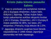 1997-1998 metų Azijos finansinė krizė 10 puslapis