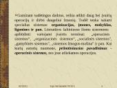 20 amžiaus vidurio vadybos kryptys ir teorijos 7 puslapis