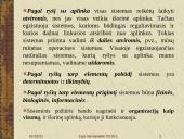 20 amžiaus vidurio vadybos kryptys ir teorijos 8 puslapis