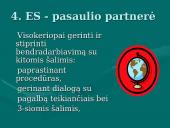 2007-2013 metų Europos Sąjungos (ES) finansinė perspektyva 11 puslapis