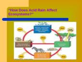 Acid rain 11 puslapis