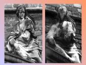 Acid rain 6 puslapis