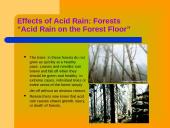 Acid rain 7 puslapis