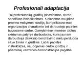 Darbuotojo adaptacijos proceso sudedamosios dalys  2 puslapis
