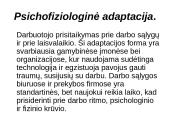 Darbuotojo adaptacijos proceso sudedamosios dalys  3 puslapis