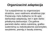 Darbuotojo adaptacijos proceso sudedamosios dalys  5 puslapis
