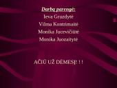 Administratoriaus tipažas 17 puslapis