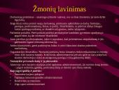Administratoriaus tipažas 7 puslapis